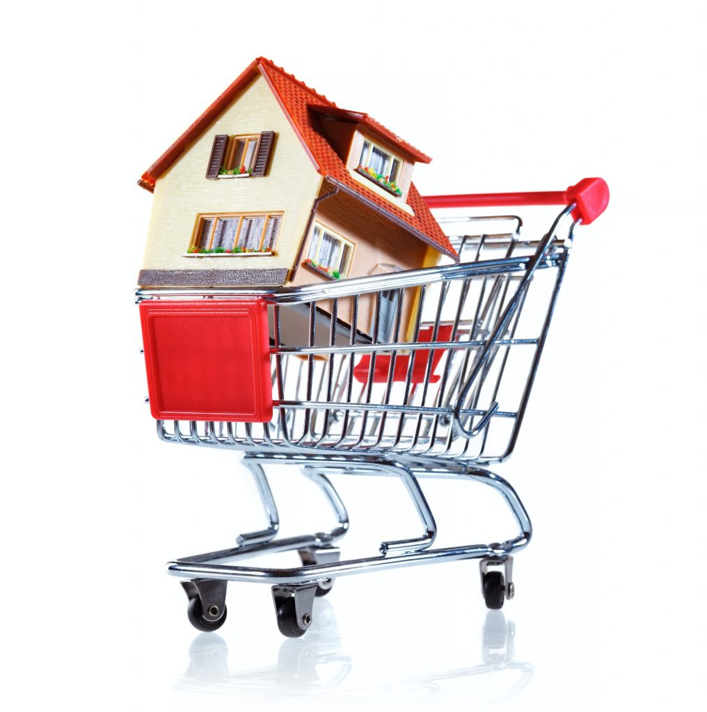 Shopping cart and house
